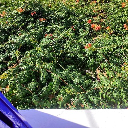 Anticlea I Βίλα Βαθύ Εξωτερικό φωτογραφία
